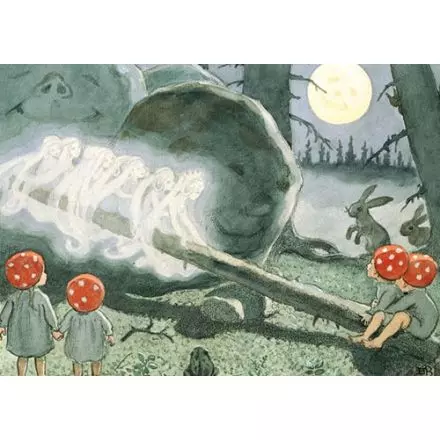 Tomtebobarnen älvor