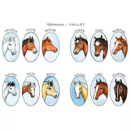 Hästar i stallet A4