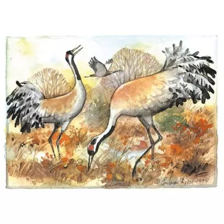 Trana, Västergötland