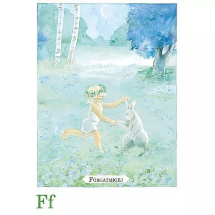 Förgätmigej, Majas alfabet