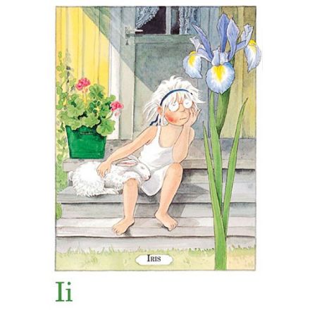 Iris, Majas alfabet