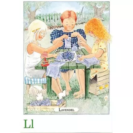 Lavendel, Majas alfabet