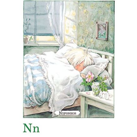 Nyponros, Majas alfabet