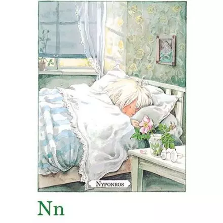 Nyponros, Majas alfabet