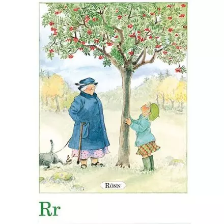 Rönn, Majas alfabet