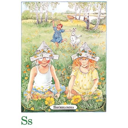 Smörblomma, Majas alfabet