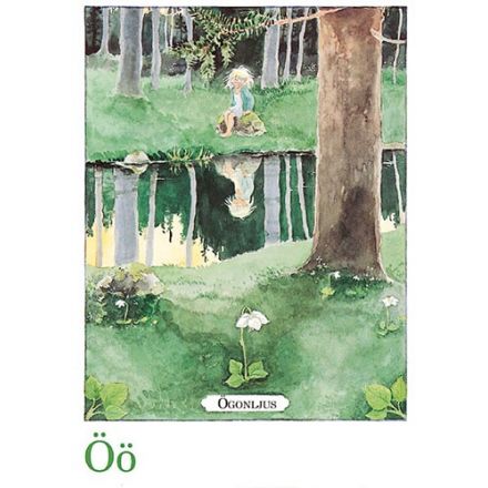 Ögonljus, Majas alfabet