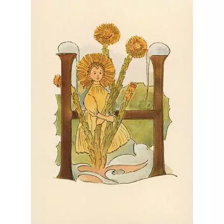 Hästhovsört, Adelborg