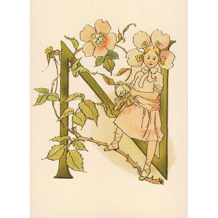 Nyponblomma, Adelborg