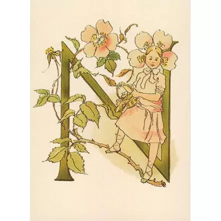 Nyponblomma, Adelborg