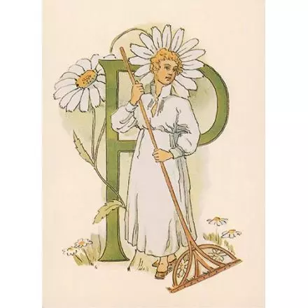 Prestkrage, Adelborg