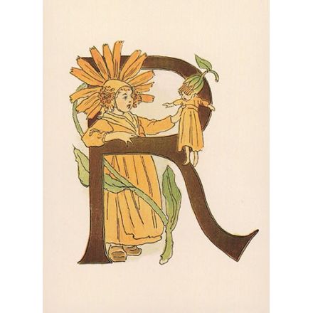 Ringblomma, Adelborg