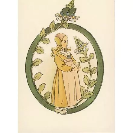 Ögontröst, Adelborg