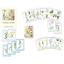 Svenska växter kortspel