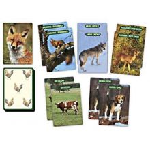 Svenska djur kortspel