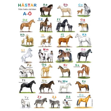 Hästar ABC affisch
