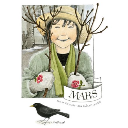 Månadsbild - Mars, Linnea