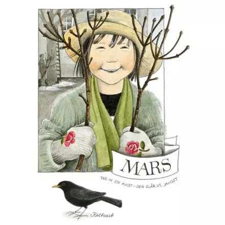 Månadsbild - Mars, Linnea