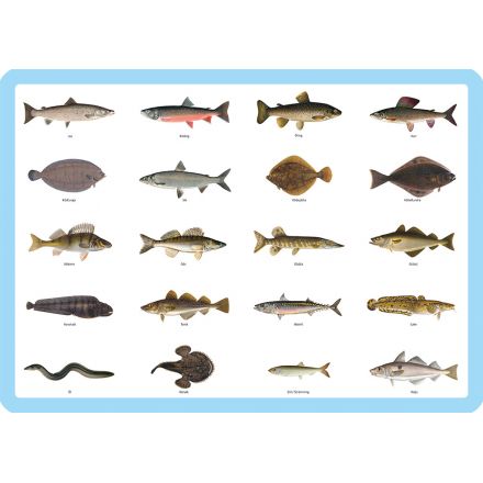 Fiskar Underlägg
