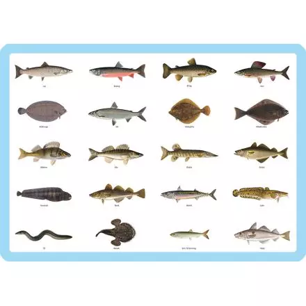 Fiskar Underlägg