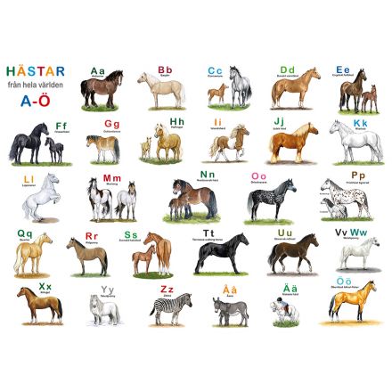 Hästar från hela - Underlägg