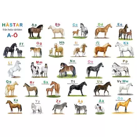 Hästar från hela - Underlägg