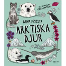 Mina första Arktiska djur